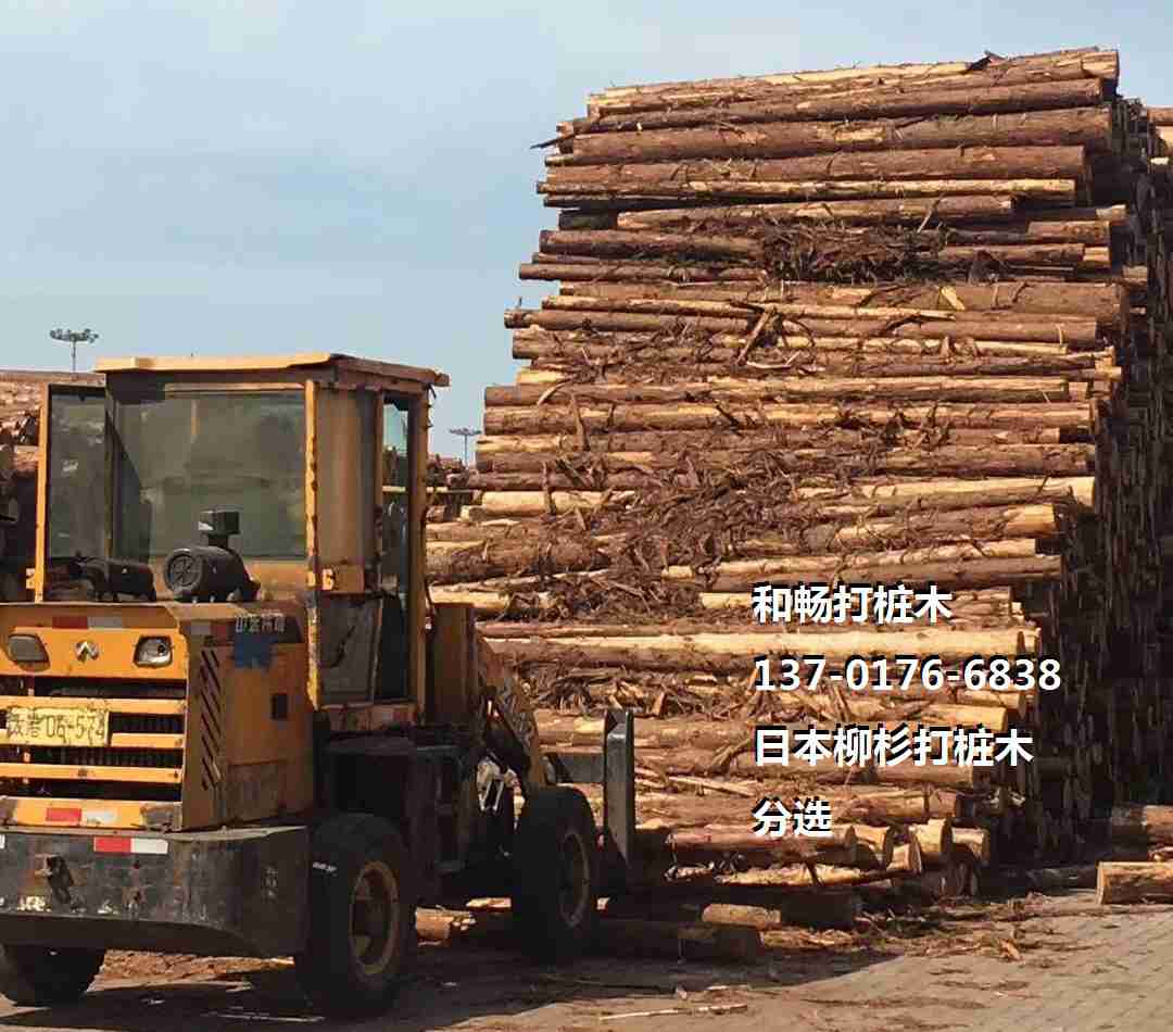 日本柳杉打桩木4米12-7米8米9米10米木桩-河道木桩,打桩木,松木桩,杉木 
