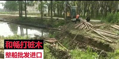 <b>【视频】4米河道打桩木施工现场</b>